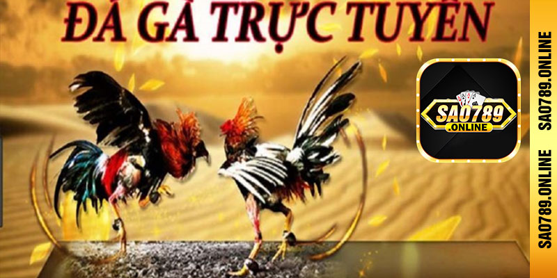 Tổng quan độ uy tín của đá gà sao789