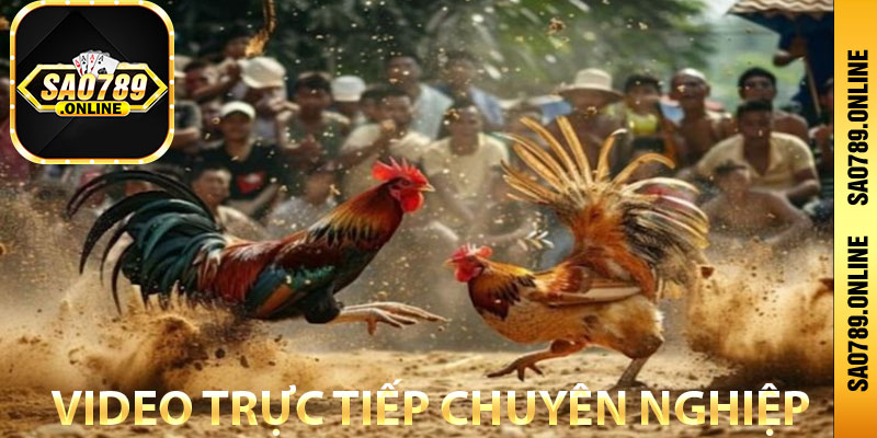 Video trực tiếp chuyên nghiệp không chèn quảng cáo